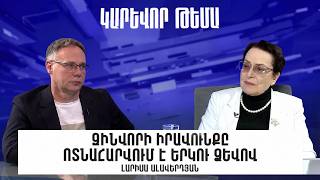 Զինվորի իրավունքը ոտնահարվում է երկու ձևով․ Լարիսա Ալավերդյան