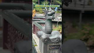 岩手県岩泉にある日本三大鍾乳洞 #龍泉洞 にいってきましたー！ お得なチケットの購入方法は動画後半で！！ #おすすめスポット #岩手県 #龍泉洞 #ひんやり #夏休み #スポット #おすすめスポット