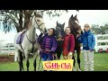 The Saddle Club Intro Hello World 432hz