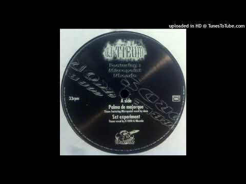 DJ Tieum ft. Micropoint - Palma De Majorque