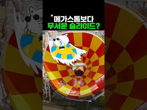 국내 최고의 워터슬라이드 TOP 5, 당신은 어떤 슬라이드를 선호하시나요?