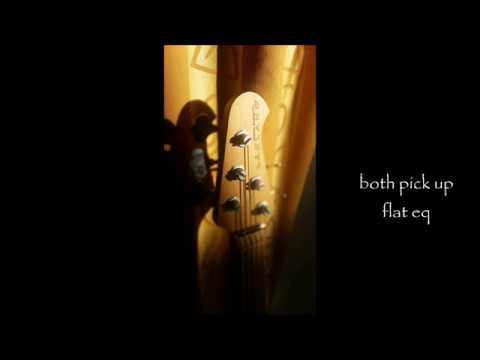 LAKLAND SKYLINE 55-01 SOUND DEMO