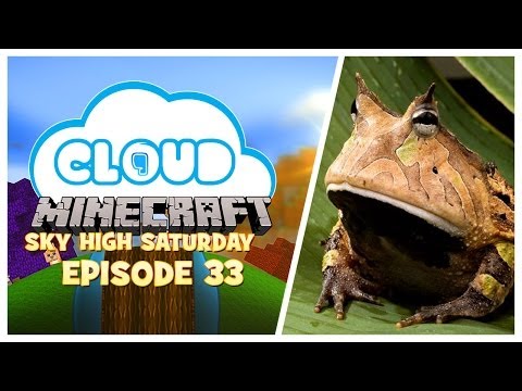 "FROG STORY!" Sky High Saturday! Cloud 9 - S2 Ep. 33
