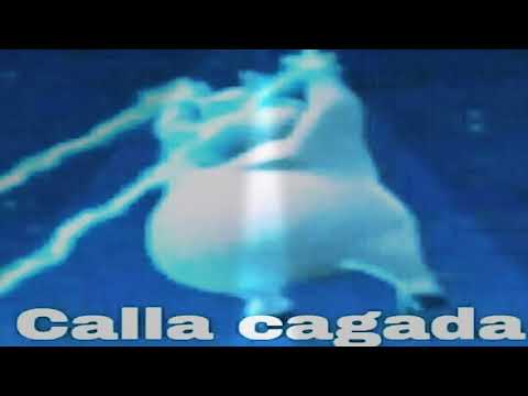 Cerra el culo pelotudo