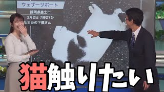 猫触って嬉しそうな山口さんをみて爆笑するももぴん【青原桃香】