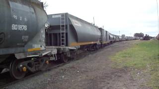 preview picture of video 'Ferrosur Roca GMGT22CW nº9050 parte de Las Flores 07/10/2012'