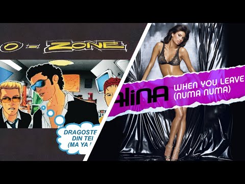 O - Zone Dragostea Din Tei x Alina When You Leave Me (Numa Numa) [Official FS Remix]