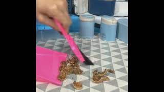 Mini Dustpan With Brush Broom Set For Multipurpose Cleaning