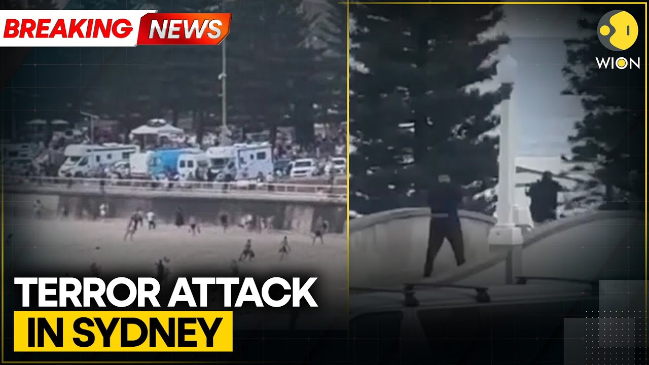 Bondi Beach Mass Shooting Declared 'Terror Incident' | WION