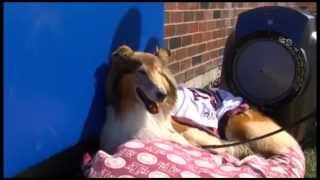 Corps Member Saves Reveille