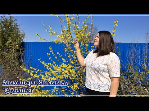 Александра Яковлева "Сдавайся"