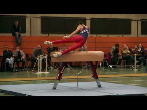 TSV Grötzingen - Landesliga (2016)