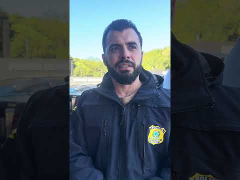 PRF apreende caminhonete carregada com quase 2 toneladas de maconh@, em Guia Lopes da Laguna.