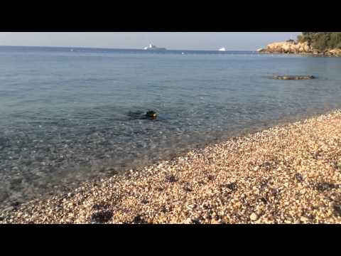 ATISHA'S VIVA LAS VEGAS