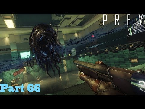Prey Part 66!!! Stupid People