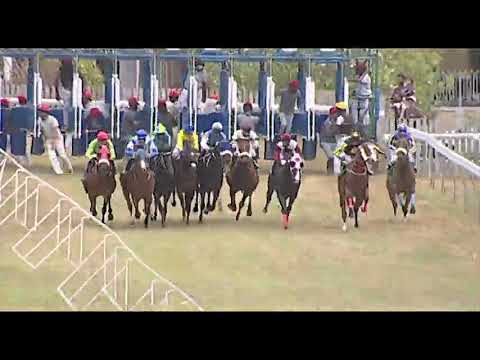 RM28 R5 | Charleston Hero | B.Fayd'herbe