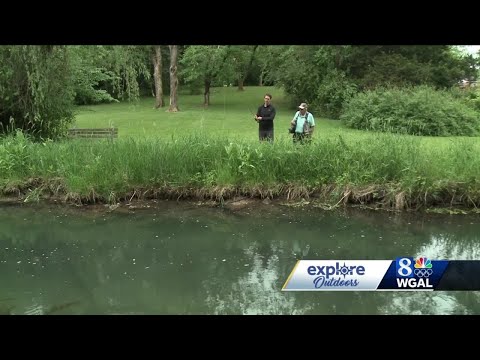 Explore Outdoors: Fly fishing in Letort Spring Run in Cumberland County