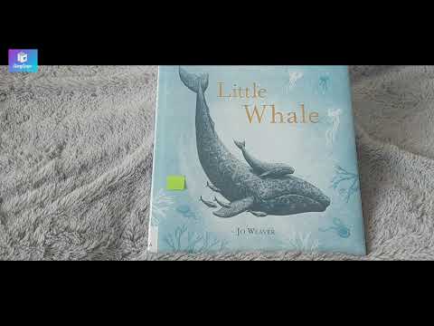 Little Whale | By: Jo Weaver | READ ALOUD | StoryScape