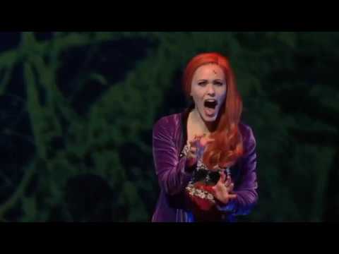 Alles ist vorbei lyrics by St. Gallen cast