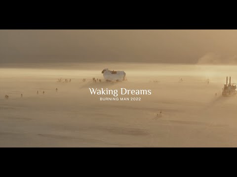 Waking Dreams: Burning Man 2022