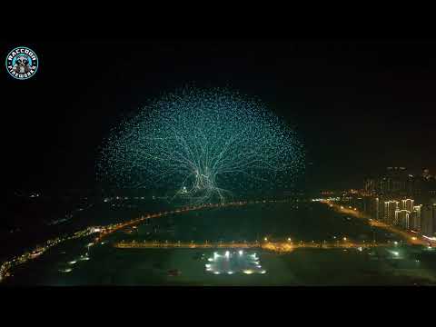 A Breathtaking Guinness Record Drone Show in Liuyang!