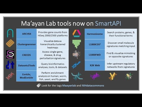 Standard API to Enable Semantic Integration of the Tools Developed by the Ma’ayan Lab