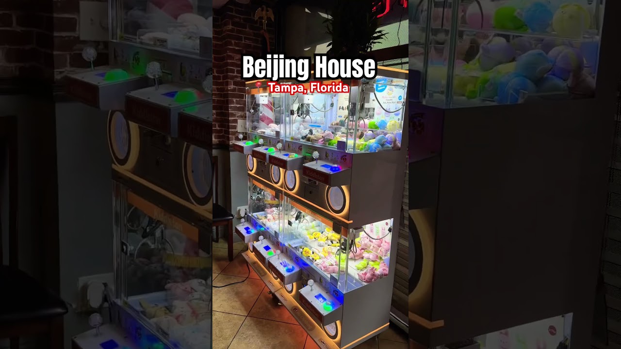 Beijing House | 📍 Tampa, Florida