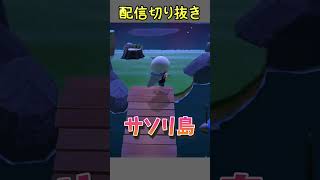 🔵【あつ森】追いかけっこ｜サソリ48万ベル#配信切り抜き#あつ森