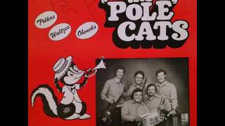 Everybody&#39;s Somebody&#39;s Fool - Pole Cats