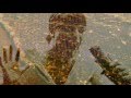 Olé Ask - Count The Stars And I Love You More