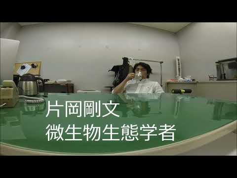 海洋生態代謝学研究室
