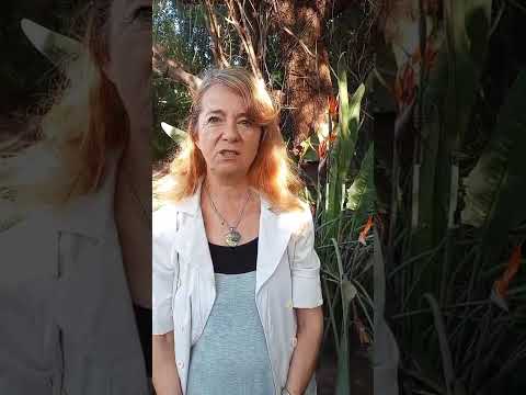 Testimonio de Nora Palthengy