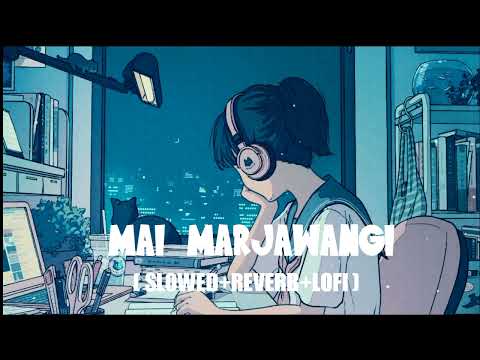 Dream girl 2 | Mai marjawangi | lofi version