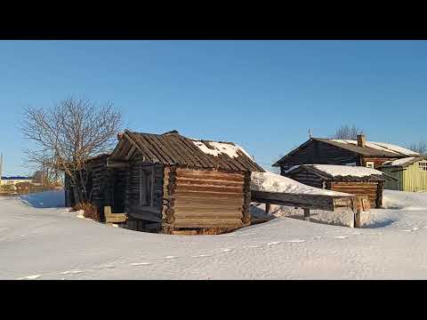 Утренняя прогулка. Запахло весной. Распускается верба. Рыбаки не спят 24.03.25