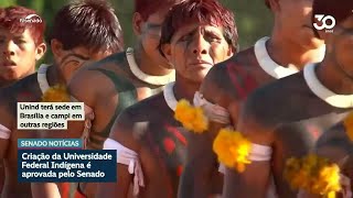 Senado aprova criação da universidade federal indígena