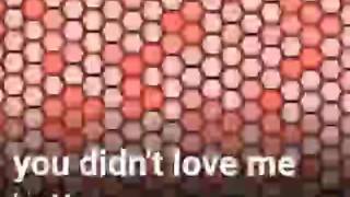 You didn't love me