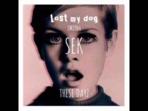 Sek - Tears & Sweat [Lost My Dog]