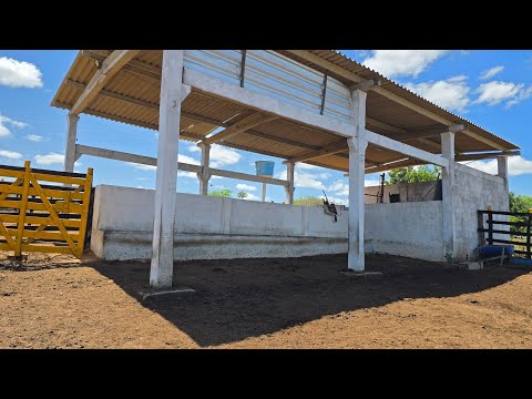 Fazenda em Jataúba-PE, medindo 155 hectares, Valor R$ 599.000,00.