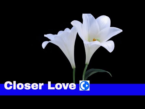 Lishuid - Closer Love - music video by ChillSelector