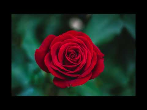 SOLO x FLOW - Sensation