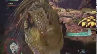 【MHW】狩り初心者が達人になるべく実況？してみた☆7(古代樹の森編)