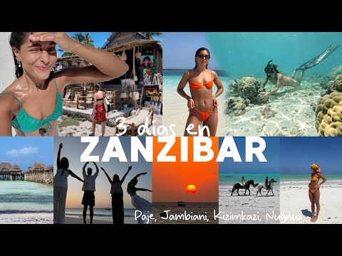 Zanzibar vlog 🇹🇿☀️ 3 days among locals, dolphins, friends, sunsets and lots of mangoes!!