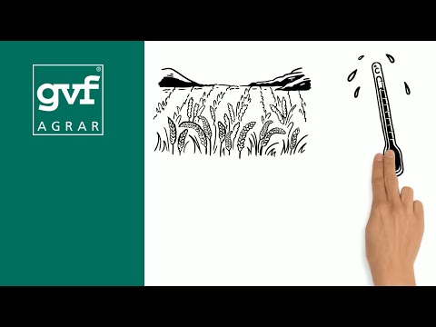 Die Hitzekasko der gvf - so funktioniert's!