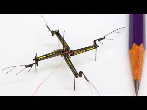 Vidéo YouTube - jDjxJ70ljTk