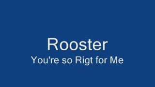 Rooster You're so Right for Me