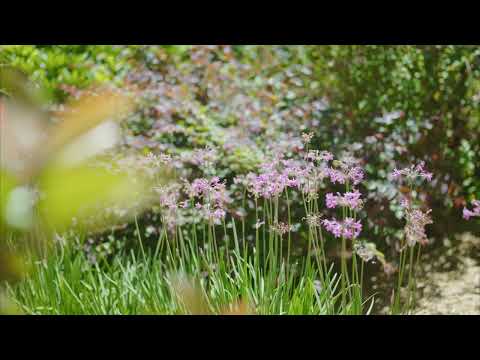 23 Furneaux Street, Forrest, ACT 2603, 3 રૂમ, 2 બાથરૂમ, House