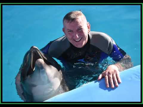 Steffen Reinholz / V.I.P - Delfin Foto  Video Show  26.Juni. 2022 - Video