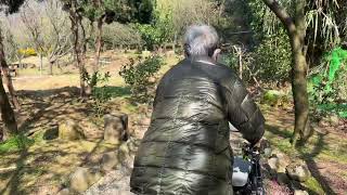 大埔農場走春2025年2月10日星期一⛅️