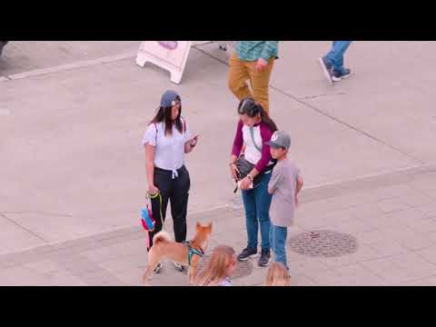 Colorful City Life of Downtown Seattle.