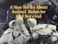 Wild Wild World Of Animals Intro